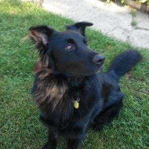 Meet your Posher, Seamus